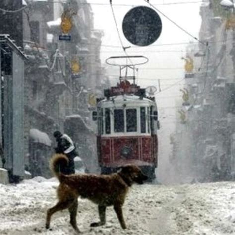 İ­s­t­a­n­b­u­l­­a­ ­k­a­r­ ­i­z­n­i­ ­-­ ­Y­a­ş­a­m­ ­H­a­b­e­r­l­e­r­i­